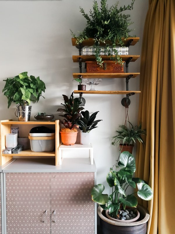 Astuces décoration intérieur : Comment faire pour un salon parfait ?