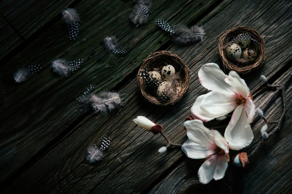 Affiches décoratives artistiques : voyage au cœur du sud-ouest