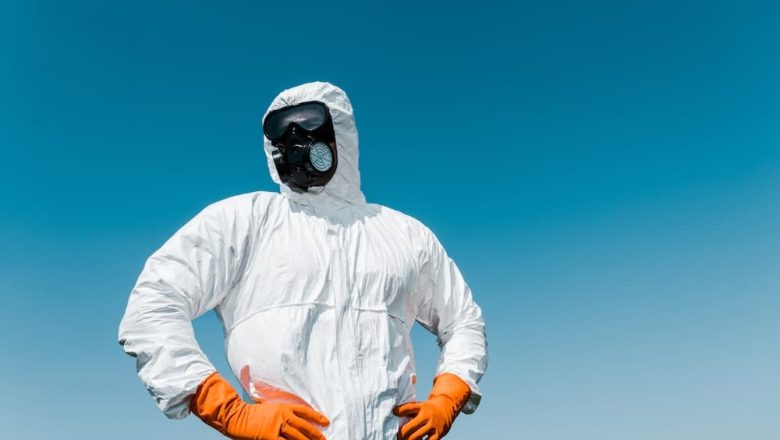 Quelles sont les possibilités pour se débarrasser des frelons asiatiques ?